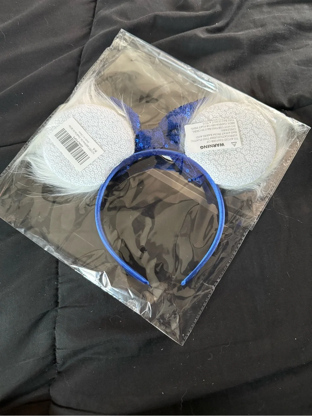 Donald Mickey Ears